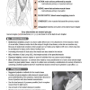 Muscle Manual Textbook - Image 2