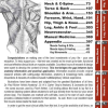 Muscle Manual Textbook - Image 3
